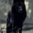 TheWolven